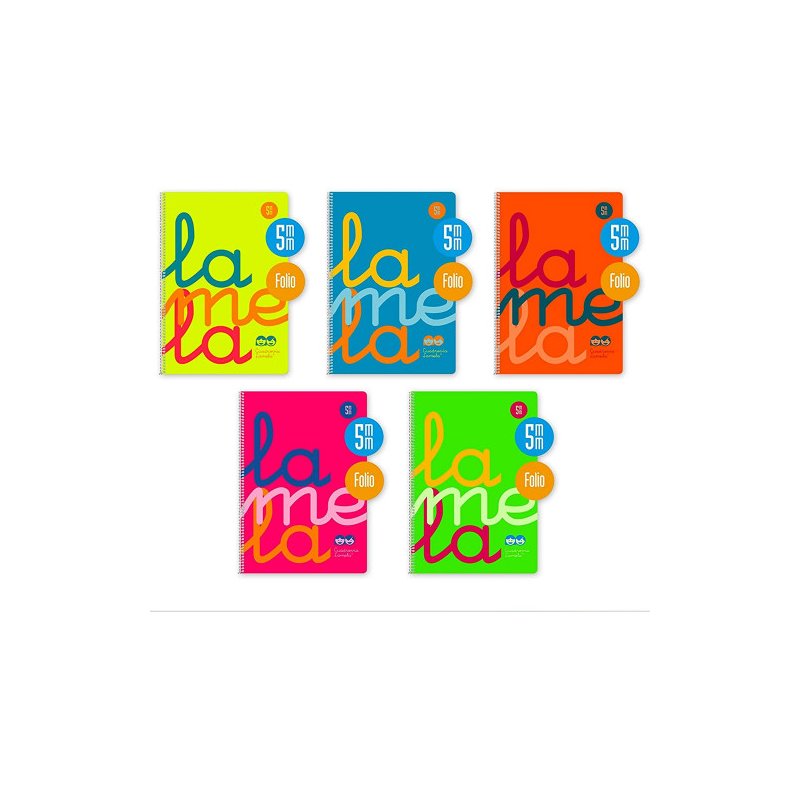 CUADERNO ESPIRAL PP LAMELA FOLIO 80H. 5MM