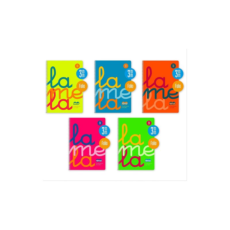 CUADERNO ESPIRAL PP LAMELA FOLIO 80H. 3MM