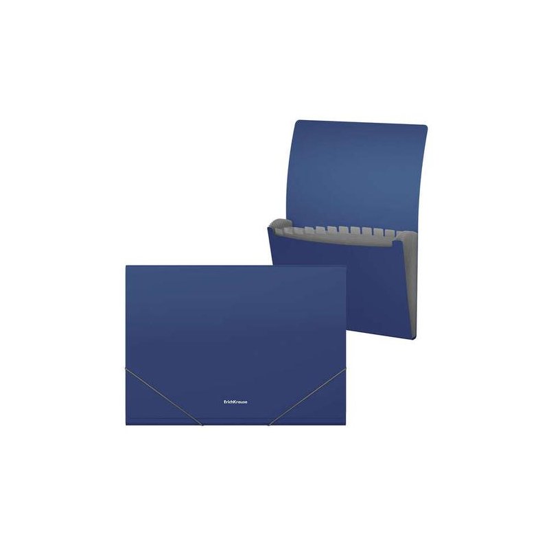 CARPETA CLASIFICADORA CON 12 DEPARTAMENTOS AZUL