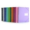CARPETA ESPIRAL CON 40 FUNDAS COLORLINE