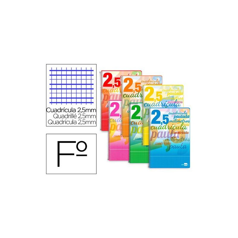 CUADERNO ESPIRAL FOLIO LIDERPAPEL PAUTAGUIA 2.5MM