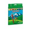 LAPICES DE COLORES ALPINO EST/18 COLORES